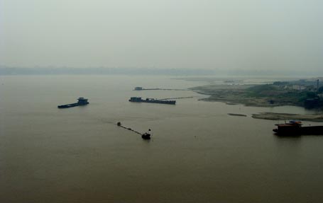 Đi[-]tìm[-]sự[-]thật[-]“quái[-]vật[-]sông[-]Hồng[-]dài[-]40m”